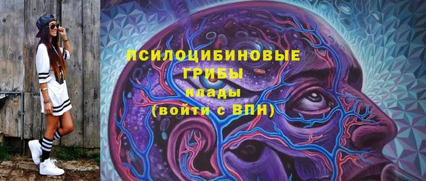 apvp Болотное