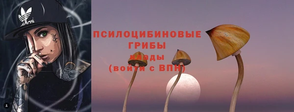 Альфа ПВП Нефтекумск